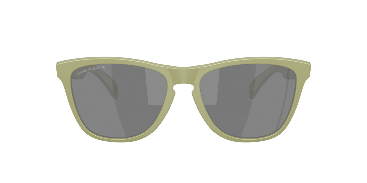 Oakley Frogskins Polarised Matte Fern Prizm Black (9013 M2)