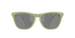 Oakley Frogskins Polarised Matte Fern Prizm Black (9013 M2)