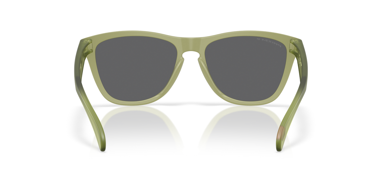 Oakley Frogskins Polarised Matte Fern Prizm Black (9013 M2)