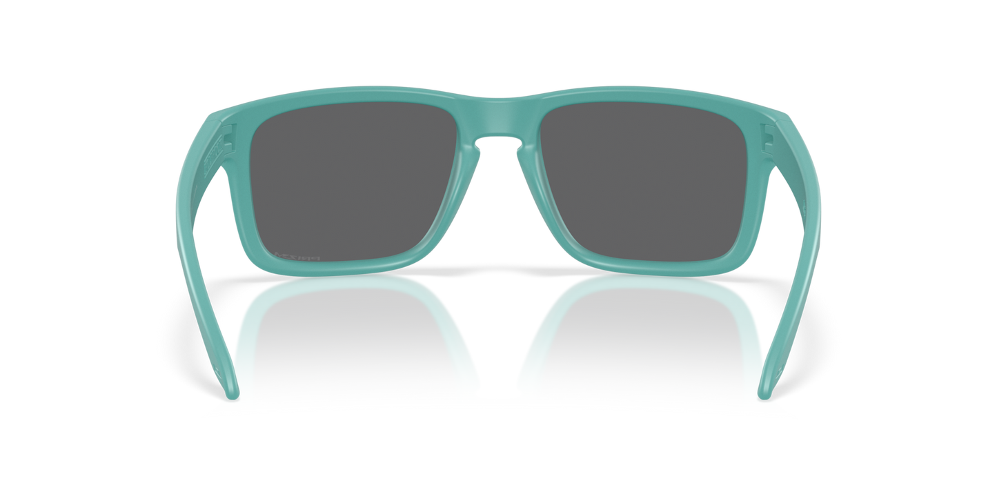 Oakley Holbrook Matte Pacific Prizm Black (9102 AF)