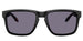 Oakley Holbrook XXL Matte Black Prizm Grey (9487 01)