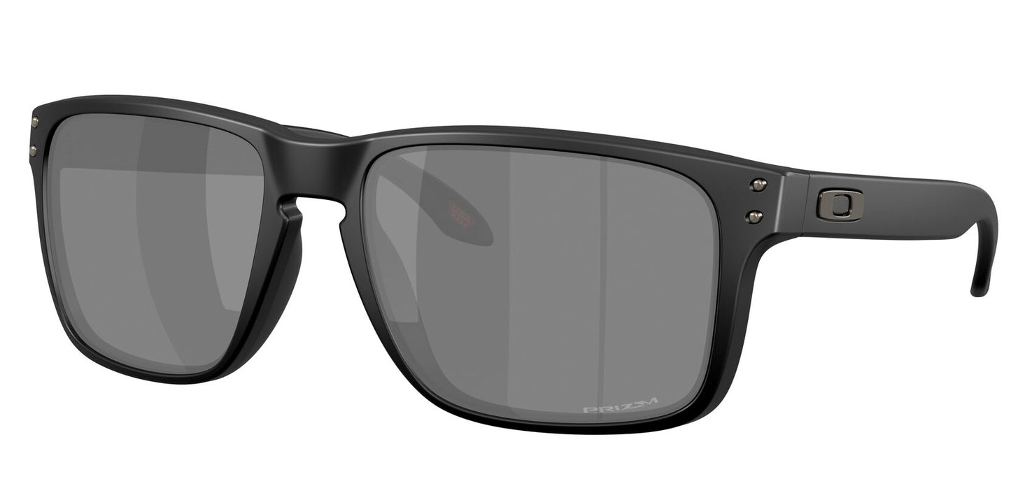 Oakley Holbrook XXL Matte Black Prizm Black (9487 02)