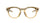 Oakley Meta HSTN Light Curry Brown Transitions OW8002 08 (51)
