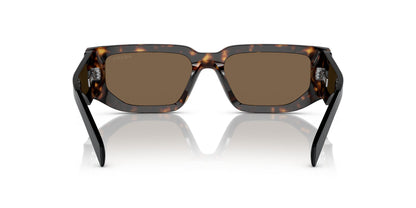 Prada 09ZS Tortoise Dark Brown (09ZS 2AU06B)