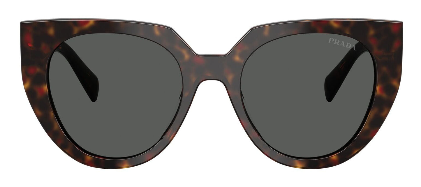 Prada 14WS Root Tortoise Dark Grey (14WS 17N40L)
