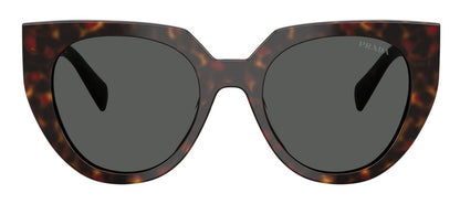 Prada 14WS Root Tortoise Dark Grey (14WS 17N40L)