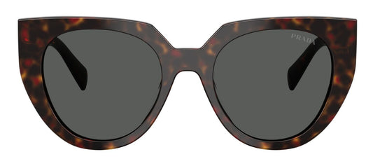 Prada 14WS Root Tortoise Dark Grey (14WS 17N40L)