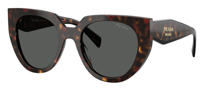 Prada 14WS Root Tortoise Dark Grey (14WS 17N40L)