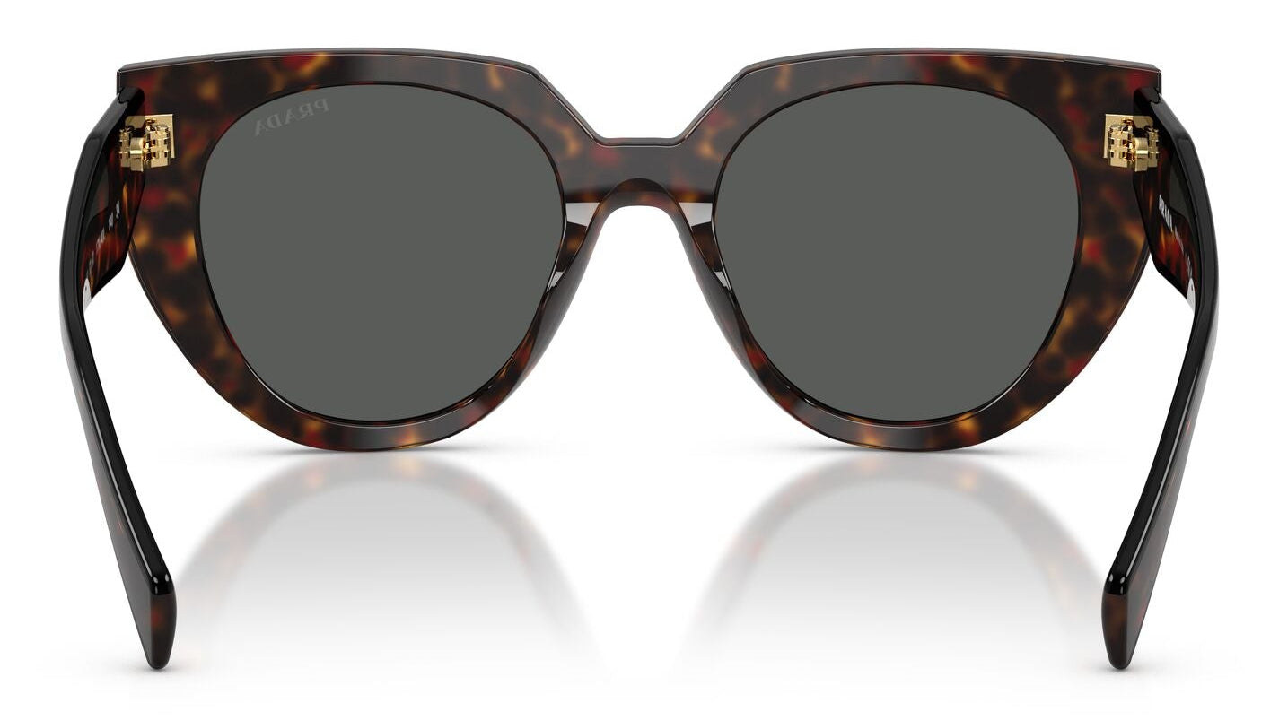 Prada 14WS Root Tortoise Dark Grey (14WS 17N40L)
