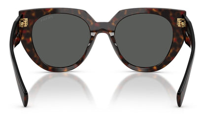Prada 14WS Root Tortoise Dark Grey (14WS 17N40L)