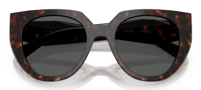 Prada 14WS Root Tortoise Dark Grey (14WS 17N40L)
