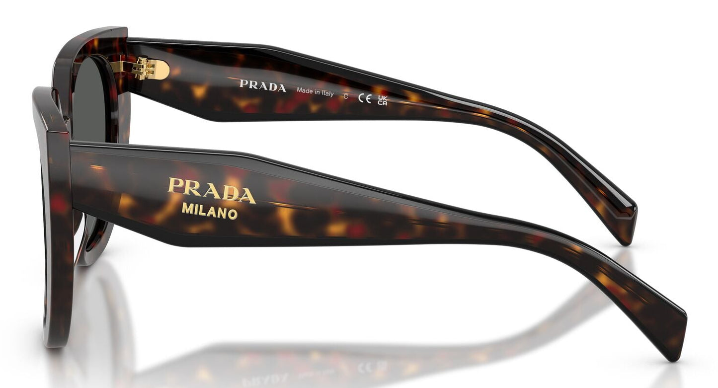 Prada 14WS Root Tortoise Dark Grey (14WS 17N40L)