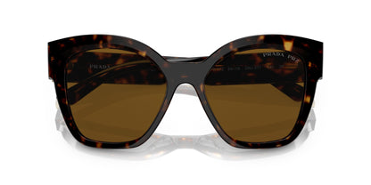 Prada 17ZS Polarised Tortoise Dark Brown (17ZS 2AU5Y1)