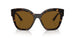 Prada 17ZS Polarised Tortoise Dark Brown (17ZS 2AU5Y1)