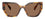 Prada 19ZS Honey Tortoise Dark Brown (19ZS 14L06B)