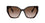Prada 19ZS Tortoise Brown Gradient (19ZS 2AU6S1)