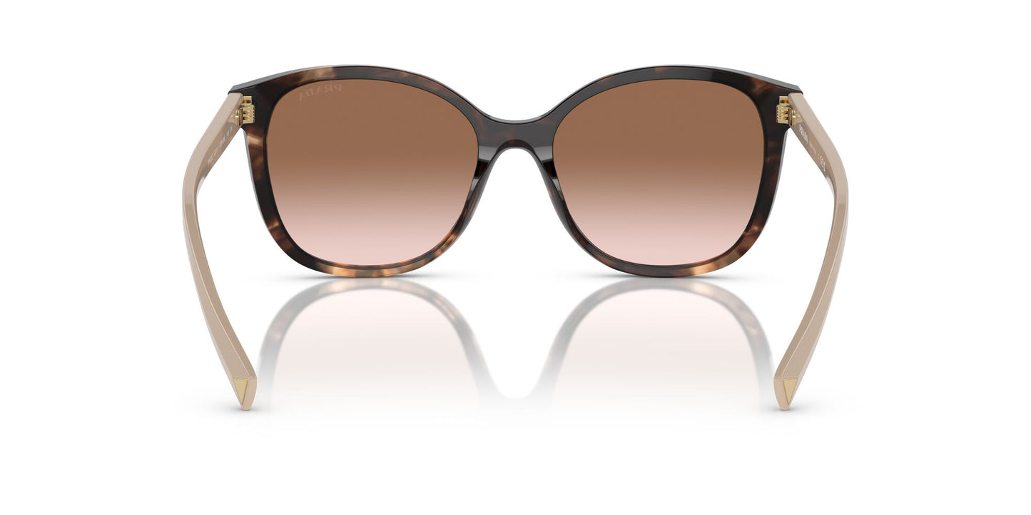 Prada 22ZS Caramel Tortoise Brown Gradient (22ZS 07R0A6)