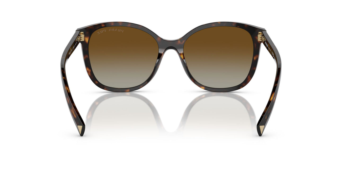 Prada 22ZS Polarised Tortoise Brown Gradient (22ZS 2AU6E1)