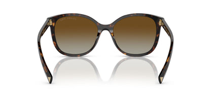 Prada 22ZS Polarised Tortoise Brown Gradient (22ZS 2AU6E1)