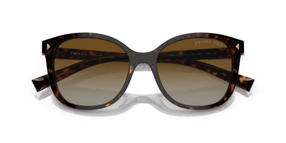 Prada 22ZS Polarised Tortoise Brown Gradient (22ZS 2AU6E1)