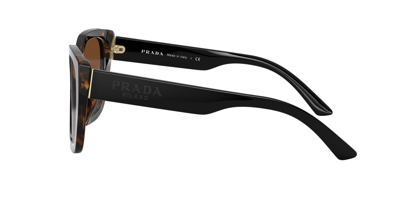 Prada 24XS Havana Brown Gradient (24XS 2AU6S1)