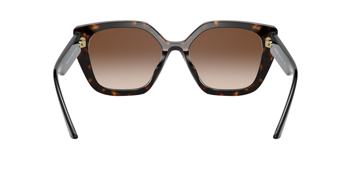 Prada 24XS Havana Brown Gradient (24XS 2AU6S1)