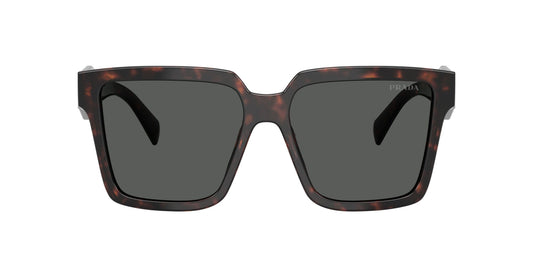 Prada 24ZS Root/Tortoise Dark Grey (24ZS 17N40L)
