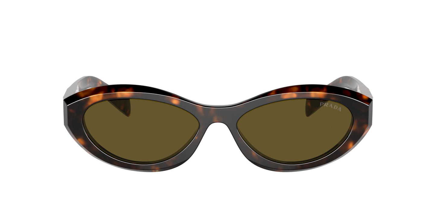 Prada 26ZS Sage/Honey Tortoise Dark Brown (26ZS 14L09Z)