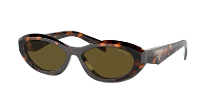 Prada 26ZS Sage/Honey Tortoise Dark Brown (26ZS 14L09Z)