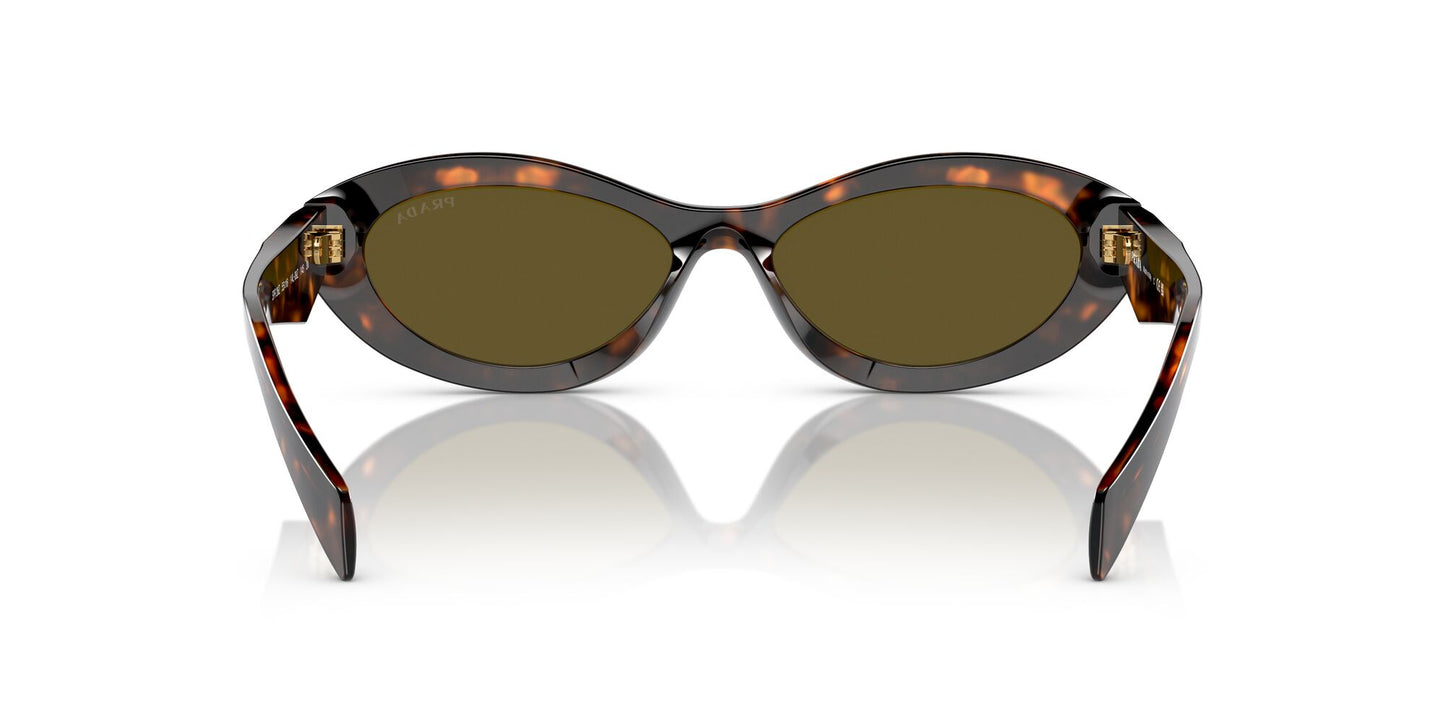 Prada 26ZS Sage/Honey Tortoise Dark Brown (26ZS 14L09Z)