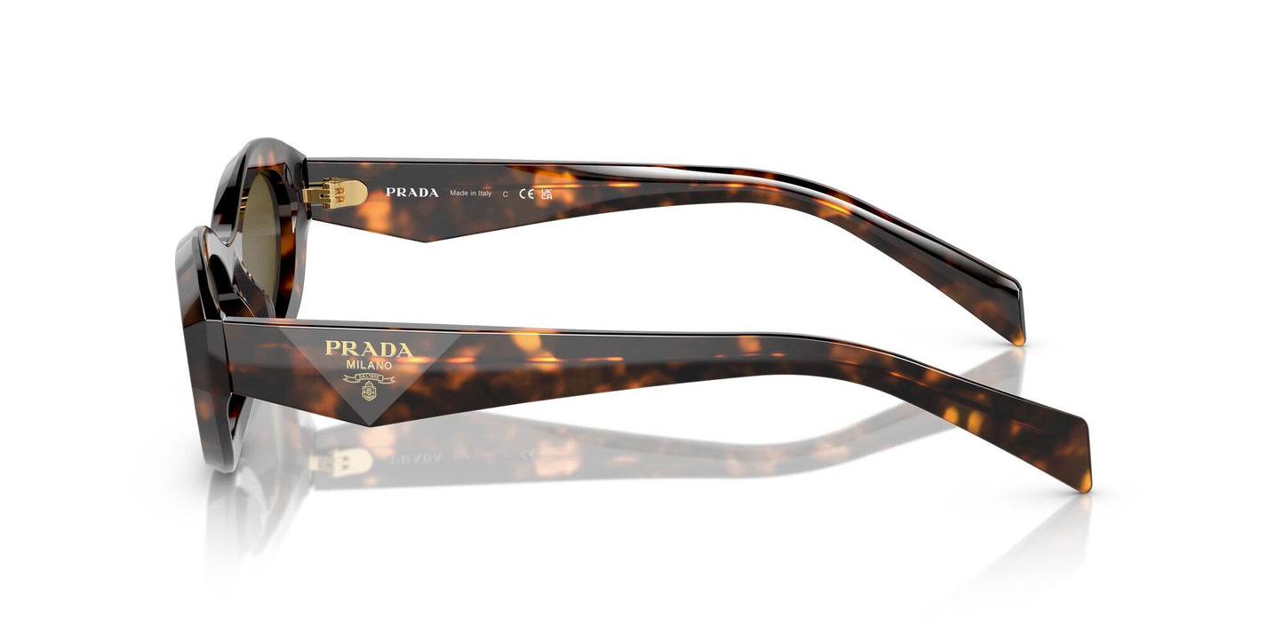 Prada 26ZS Sage/Honey Tortoise Dark Brown (26ZS 14L09Z)