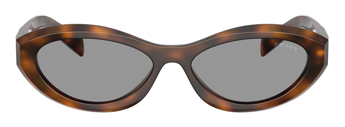 Prada 26ZS Juniper Tortoise Grey (26ZS 20D50Q)