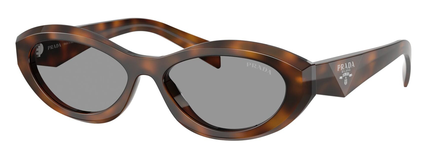 Prada 26ZS Juniper Tortoise Grey (26ZS 20D50Q)