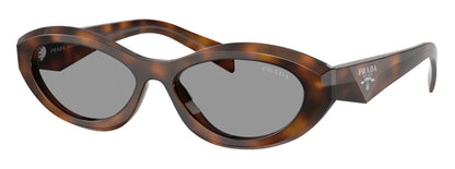 Prada 26ZS Juniper Tortoise Grey (26ZS 20D50Q)