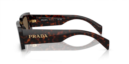 Prada A07S Polarised Briar Tortoise Dark Brown (A07S 16N5Y1)