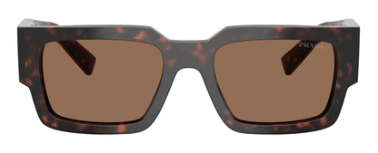 Prada B17S Root Tortoise Dark Brown (B17S 17N06B)