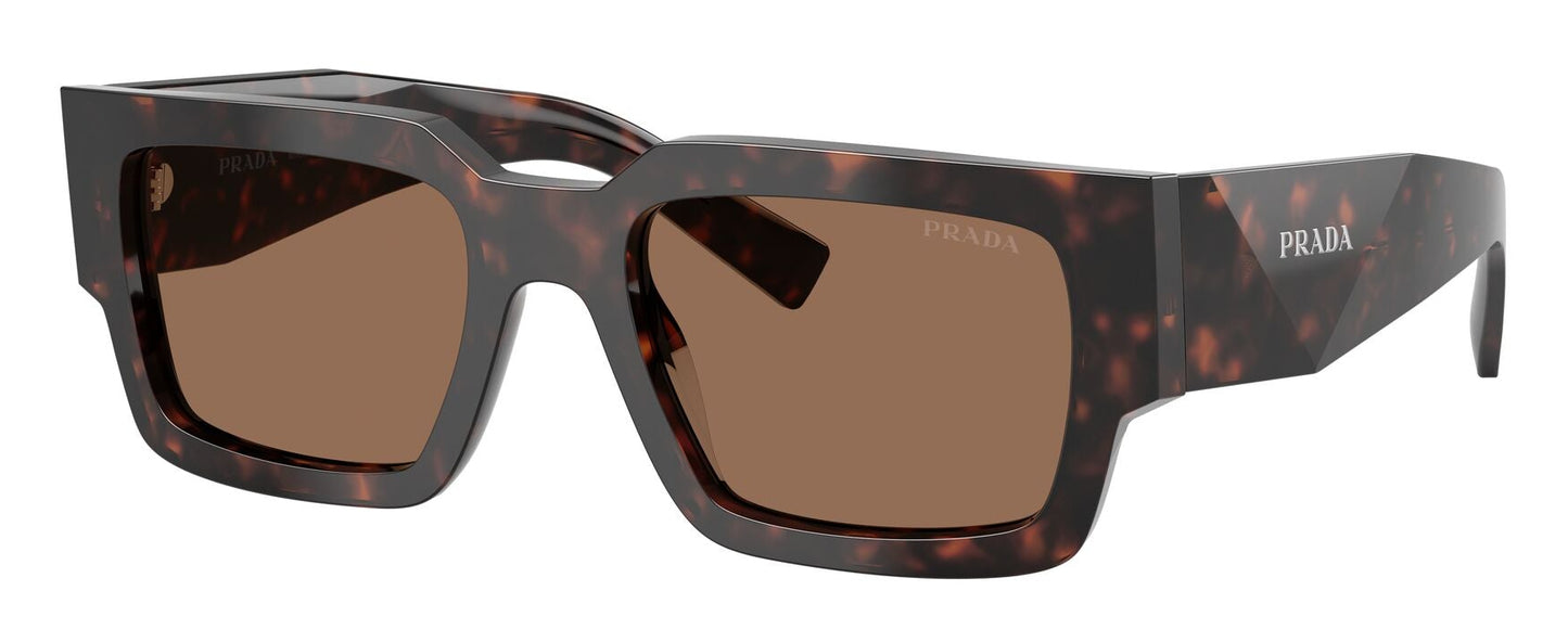 Prada B17S Root Tortoise Dark Brown (B17S 17N06B)