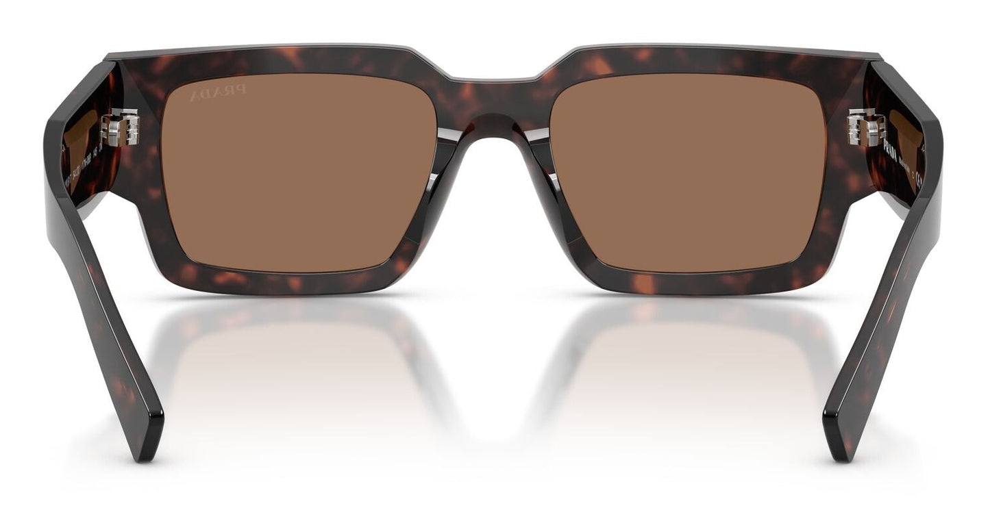 Prada B17S Root Tortoise Dark Brown (B17S 17N06B)