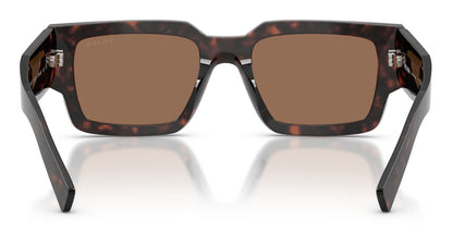 Prada B17S Root Tortoise Dark Brown (B17S 17N06B)