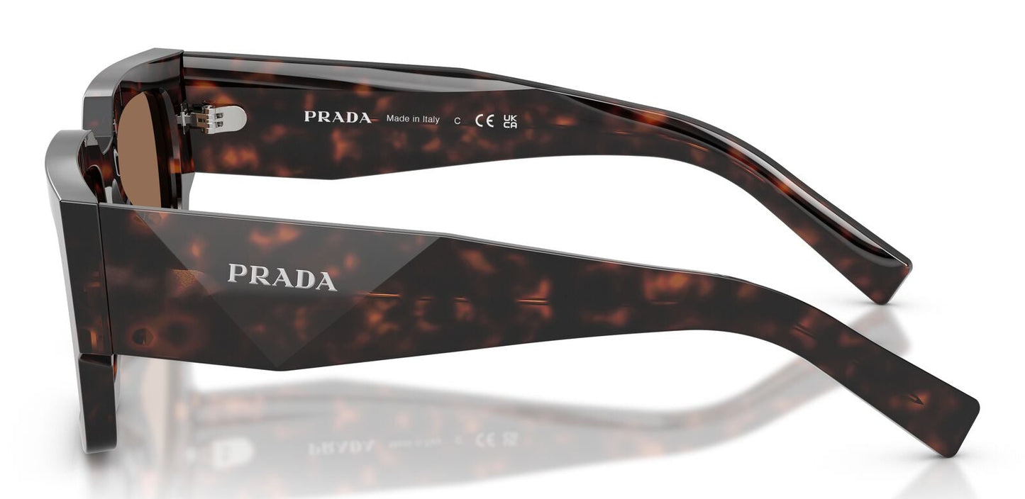 Prada B17S Root Tortoise Dark Brown (B17S 17N06B)