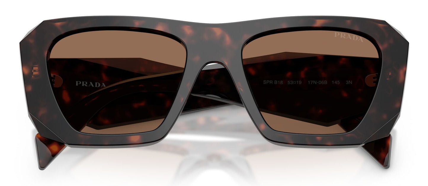 Prada B18S Root Tortoise Dark Brown (B18S 17N06B)