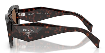 Prada B18S Root Tortoise Dark Brown (B18S 17N06B)