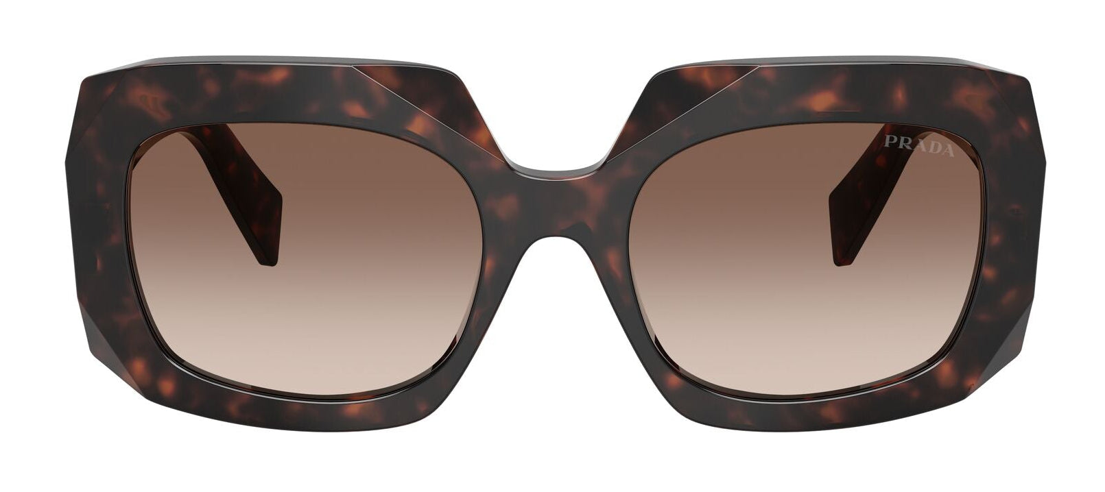 Prada B23S Root Tortoise Brown Gradient (B23S 17N10S)