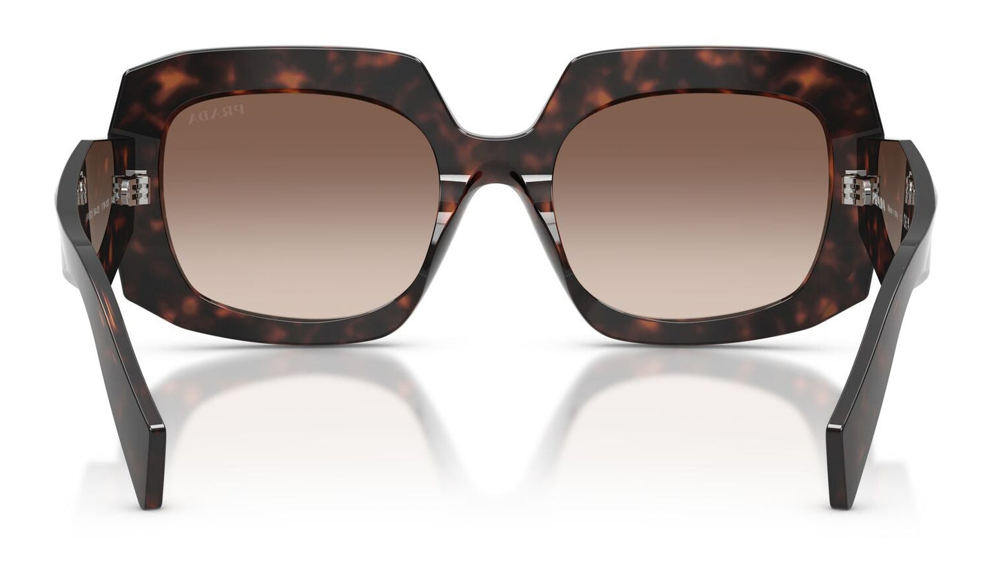 Prada B23S Root Tortoise Brown Gradient (B23S 17N10S)
