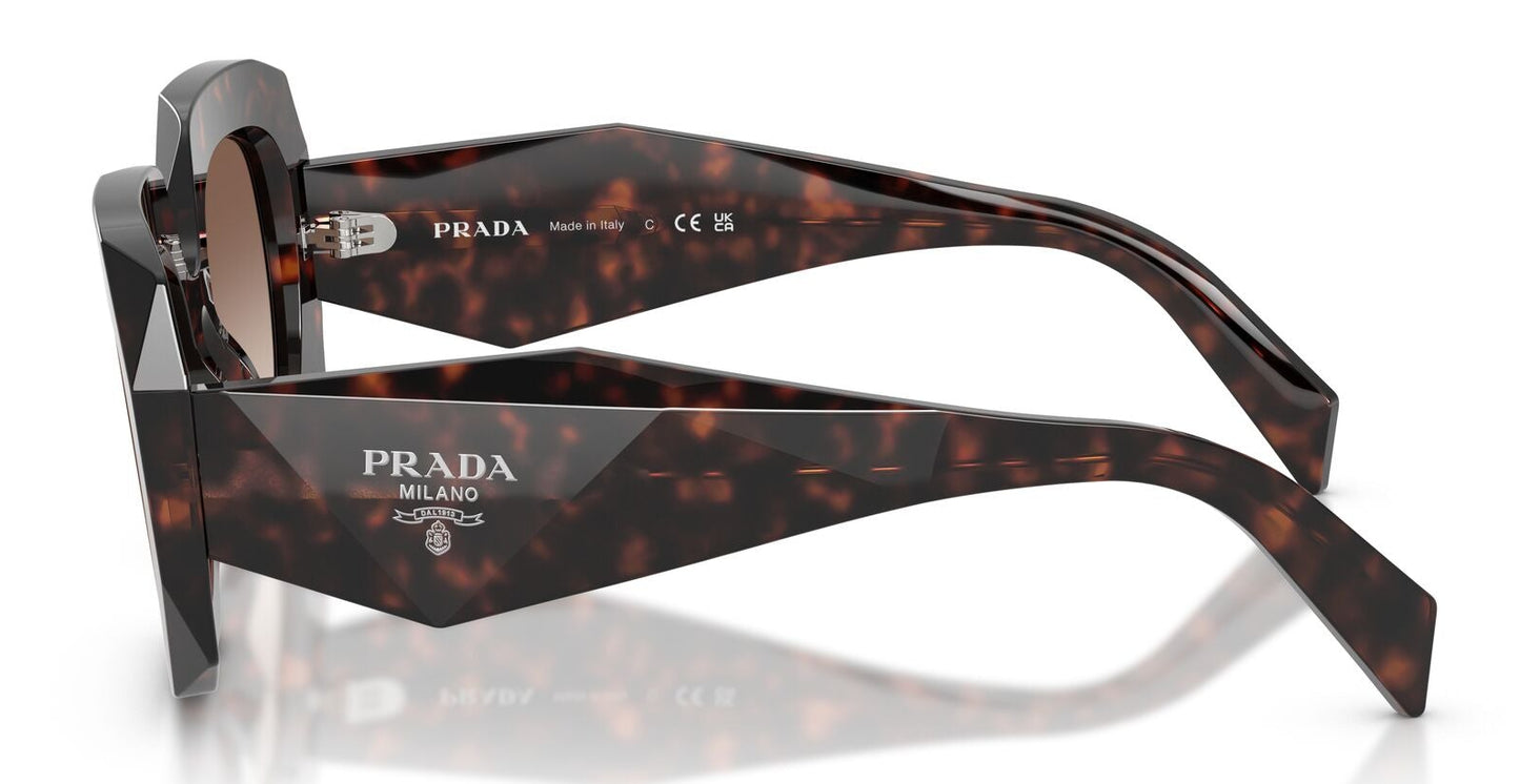 Prada B23S Root Tortoise Brown Gradient (B23S 17N10S)