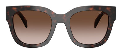 Prada C04S Root Tortoise Brown Gradient (C04S 17N80A)