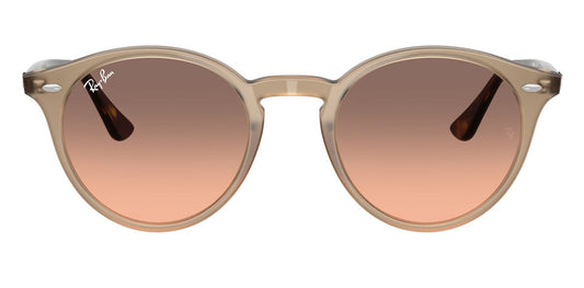 Ray-Ban 2180 Turtledove Pink Grey Gradient RB2180 678846 (49)