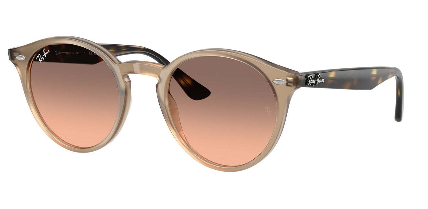 Ray-Ban 2180 Turtledove Pink Grey Gradient RB2180 678846 (49)