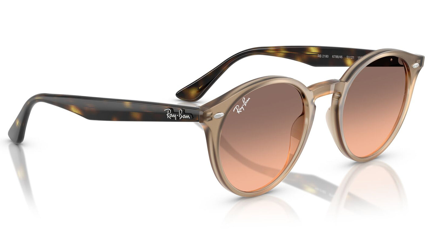 Ray-Ban 2180 Turtledove Pink Grey Gradient RB2180 678846 (49)