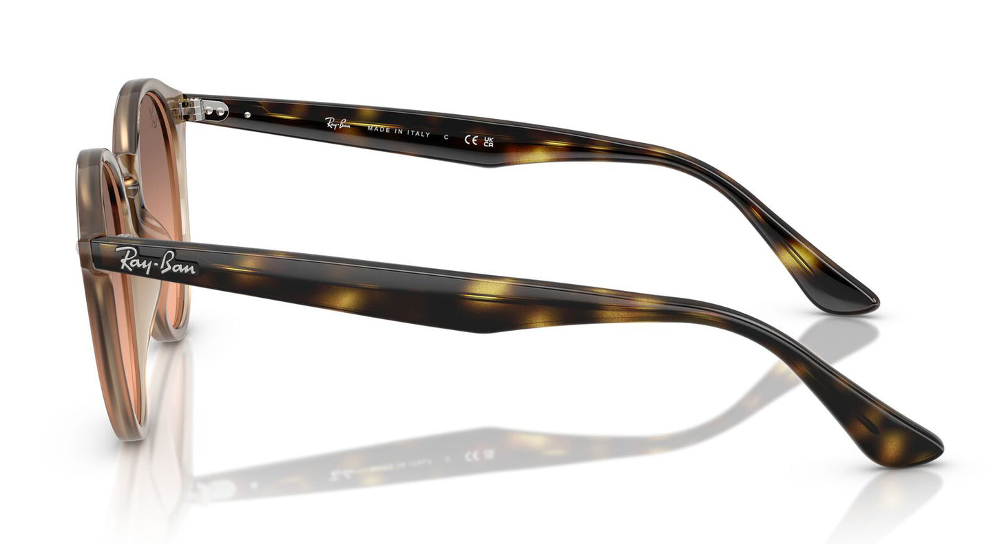 Ray-Ban 2180 Turtledove Pink Grey Gradient RB2180 678846 (49)